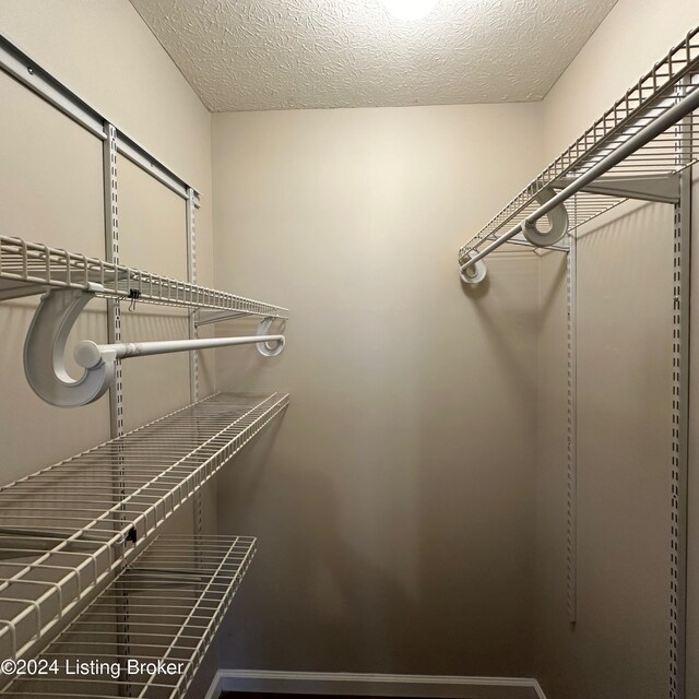 744 Brian Ct, Radcliff, KY 40160 - view of walk in closet