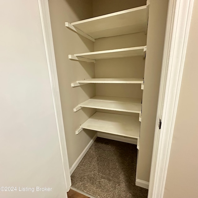 744 Brian Ct, Radcliff, KY 40160 - view of closet