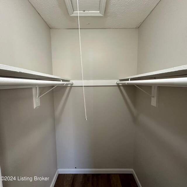 walk in closet featuring dark hardwood / wood-style flooring