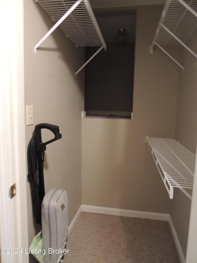 spacious closet with carpet