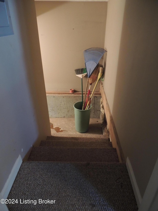 717 Moore Ave, Bardstown, KY 40004 - photo 26