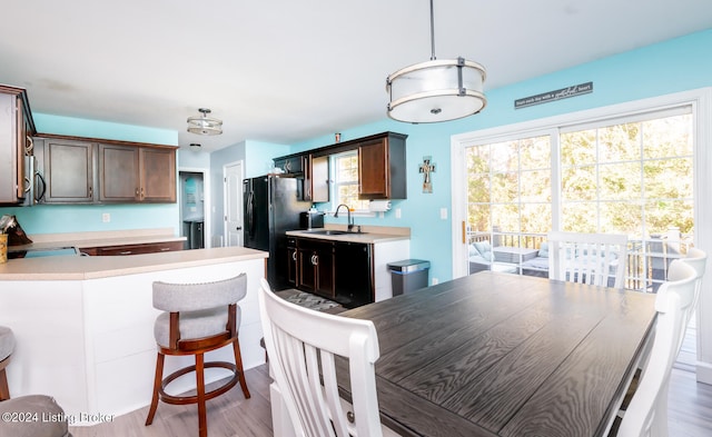 dining room featuring hardwood / wood-style floors and sink