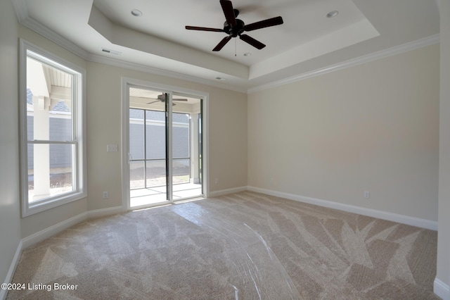 empty room with a wealth of natural light, a raised ceiling, and ceiling fan