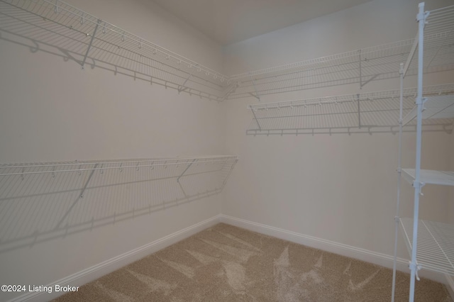 17105 Farrier Dr, Louisville, KY 40245 - spacious closet featuring carpet floors