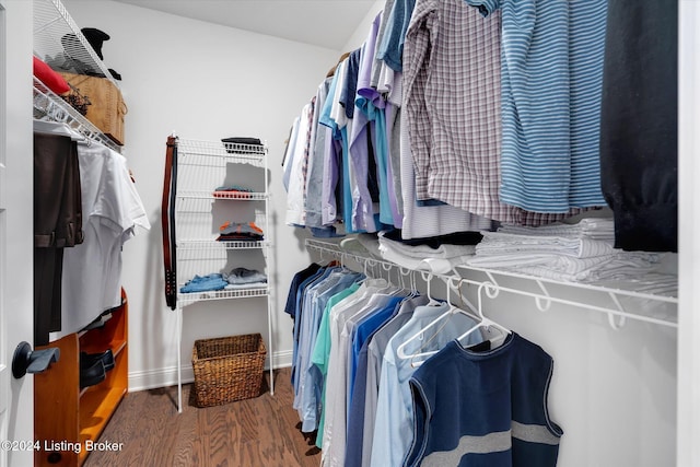 walk in closet featuring dark hardwood / wood-style flooring