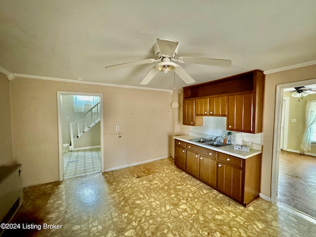 kitchen with ceiling fan, sink, and ornamental molding