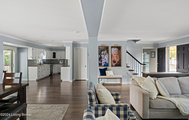 living room featuring sink, plenty of natural light, ornamental molding, and dark hardwood / wood-style floors