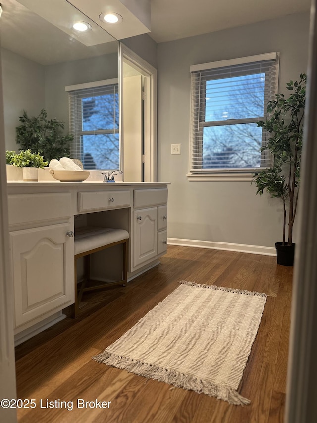 bathroom with hardwood / wood-style flooring and vanity