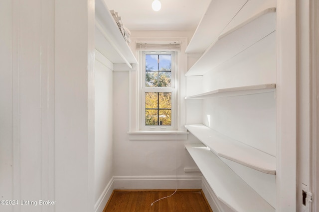 walk in closet with hardwood / wood-style floors