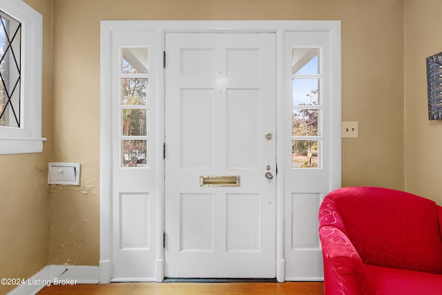 entryway with wood-type flooring and plenty of natural light