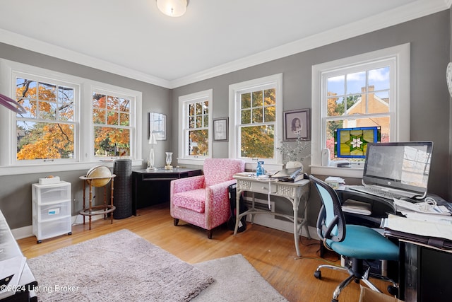 office featuring ornamental molding and light hardwood / wood-style flooring