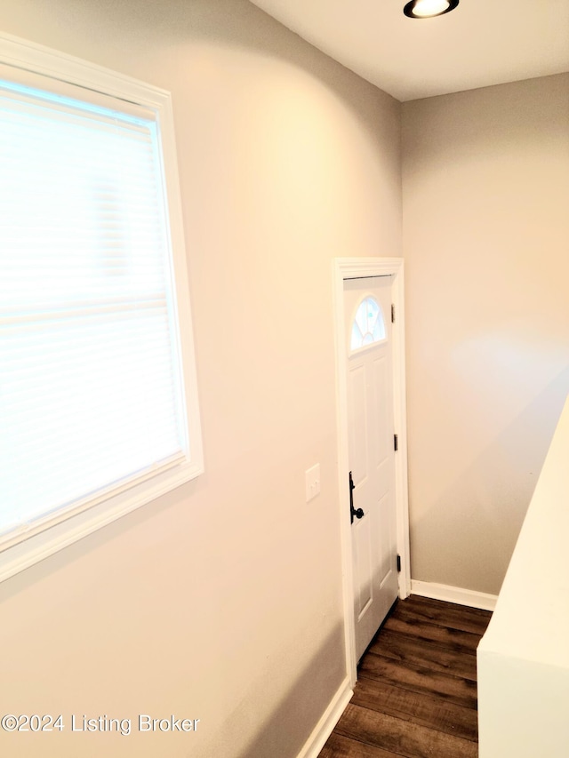 stairs with hardwood / wood-style flooring