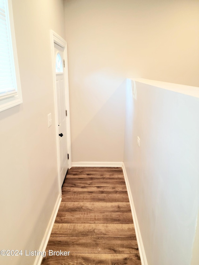 stairway with hardwood / wood-style flooring and plenty of natural light