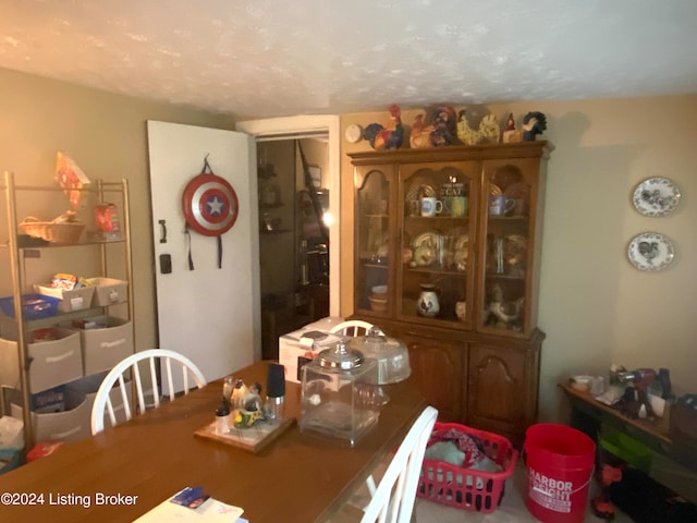 dining room featuring a textured ceiling