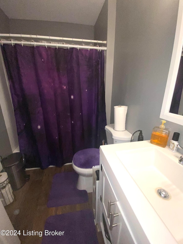 bathroom featuring vanity, hardwood / wood-style flooring, toilet, and a shower with shower curtain