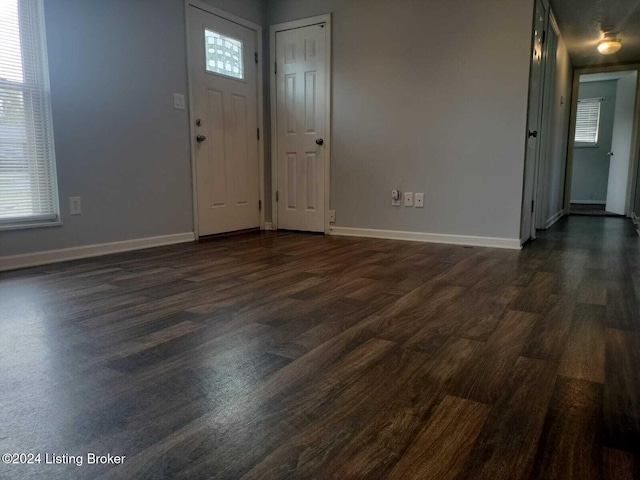 entryway featuring dark hardwood / wood-style floors and a healthy amount of sunlight