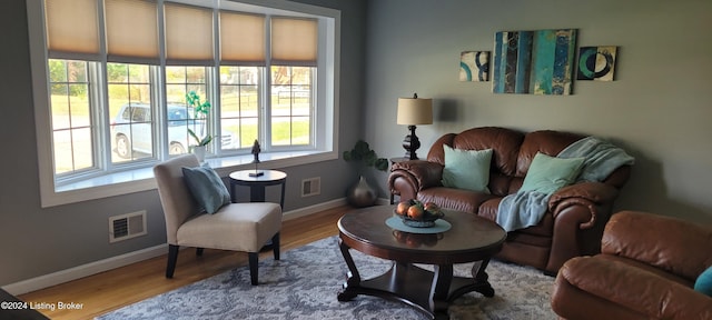 living room with hardwood / wood-style flooring