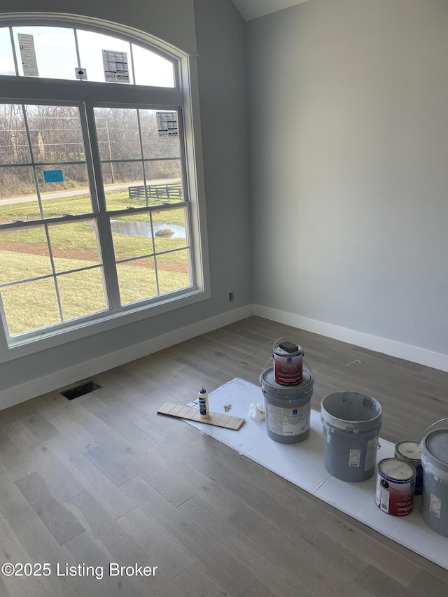 spare room featuring a wealth of natural light and wood-type flooring