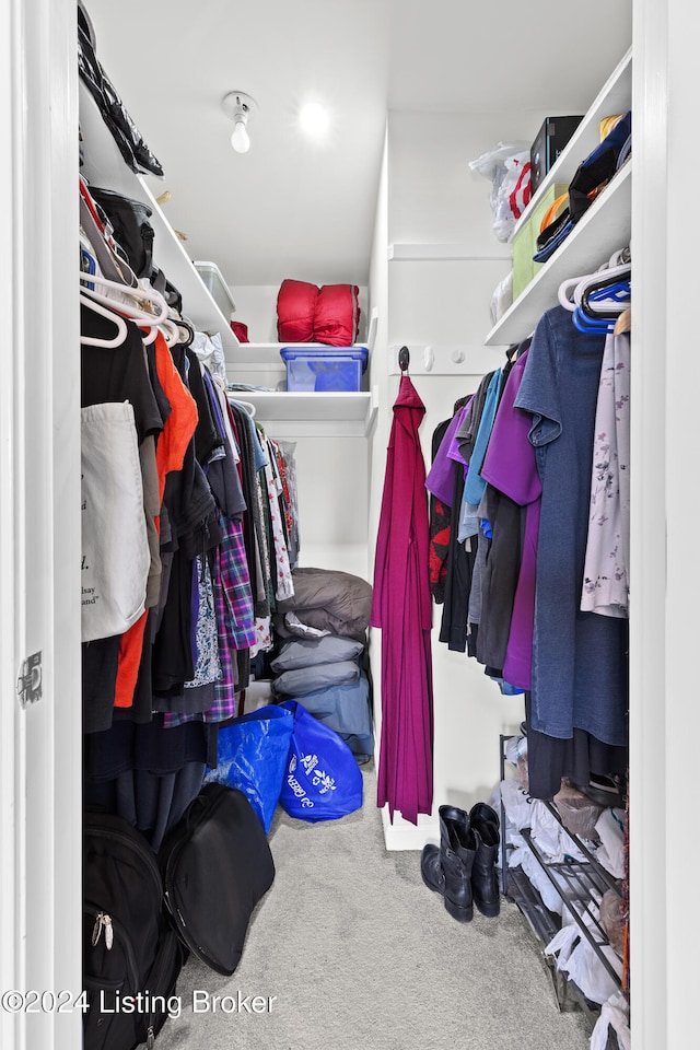 walk in closet featuring carpet flooring