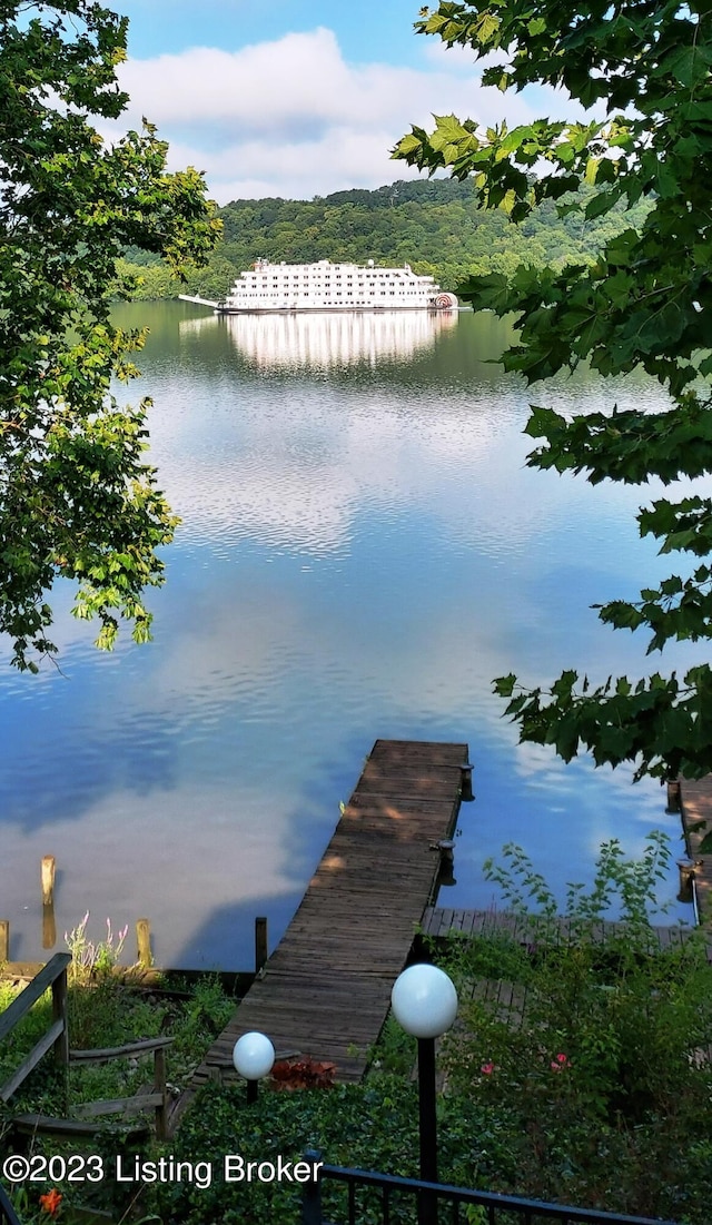 dock area with a water view