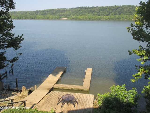 dock area featuring a water view