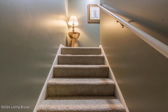 953 Baxter Ave Unit 104, Louisville, KY 40204 - photo 17
