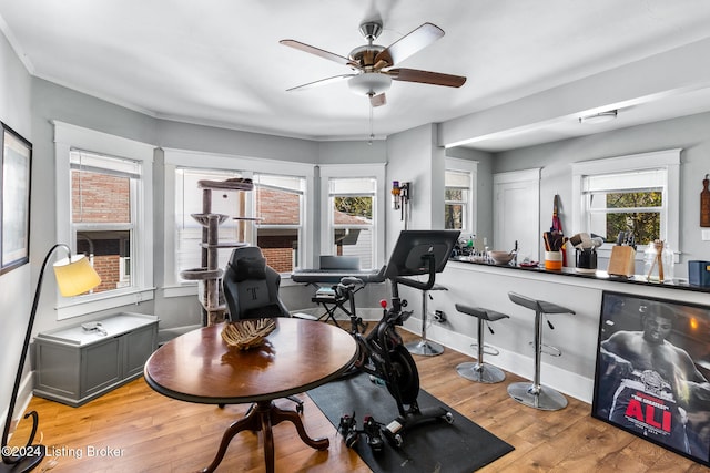 workout area with light wood-type flooring and ceiling fan