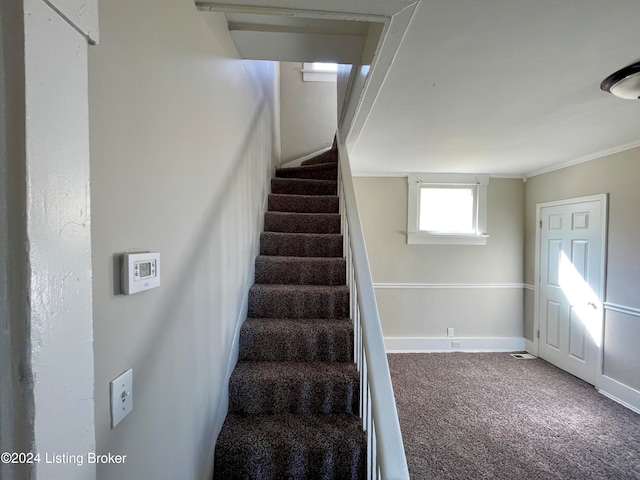 staircase with ornamental molding and carpet