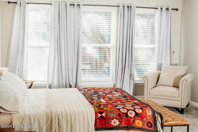 carpeted bedroom with multiple windows