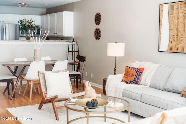 living room featuring light hardwood / wood-style floors