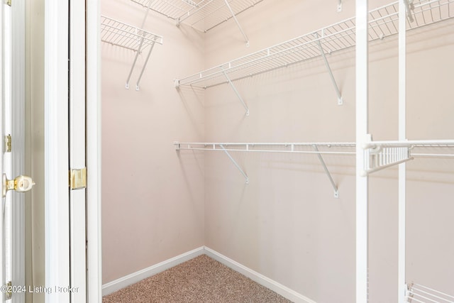 spacious closet with carpet