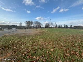 0 Celina Rd, Tompkinsville, KY 42167 - photo 4