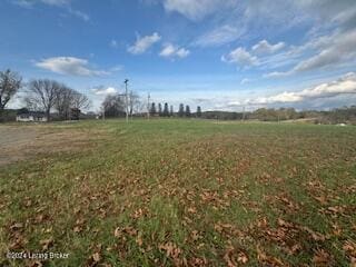 0 Celina Rd, Tompkinsville, KY 42167 - photo 5
