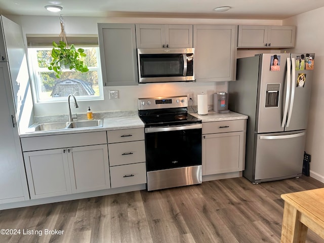 kitchen with hardwood / wood-style floors, gray cabinetry, sink, and appliances with stainless steel finishes