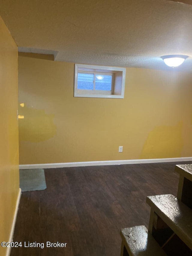 basement featuring dark wood-type flooring