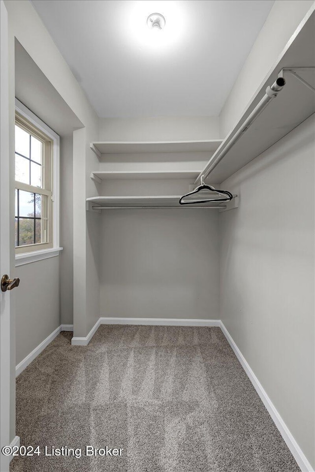 spacious closet with carpet floors