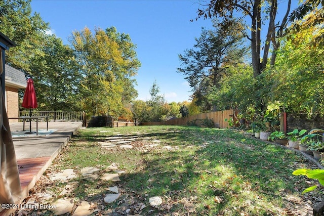 view of yard featuring a patio area