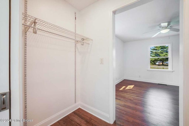 spacious closet featuring dark hardwood / wood-style floors and ceiling fan