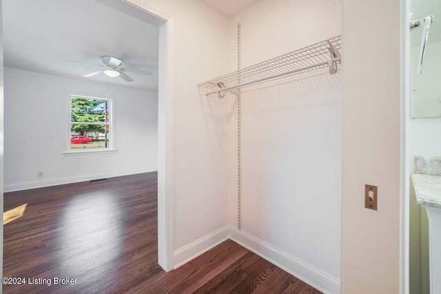 walk in closet with dark wood-type flooring and ceiling fan