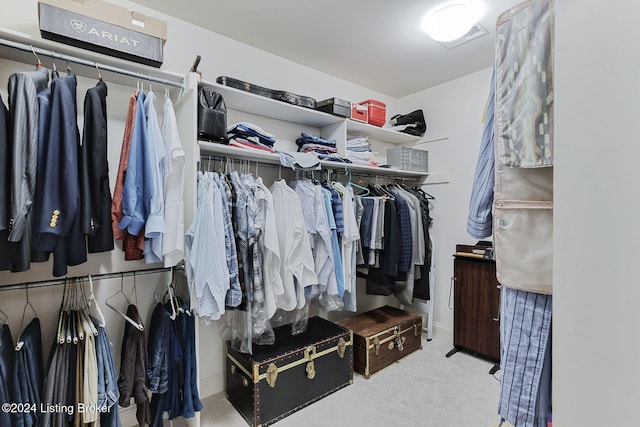 walk in closet with carpet floors