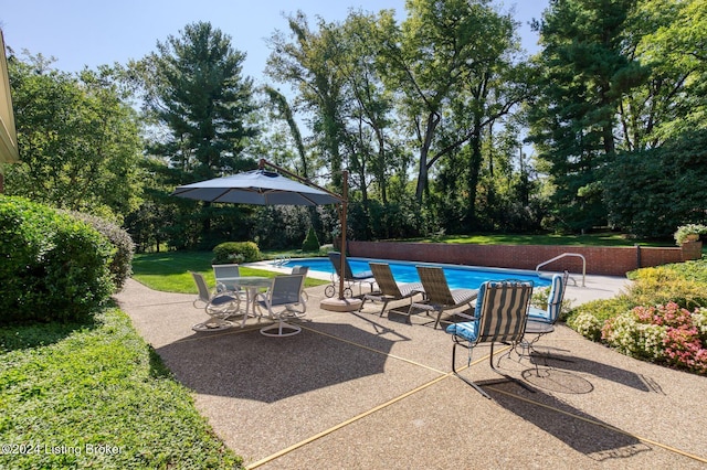 view of swimming pool with a patio area