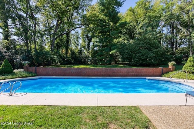 view of pool featuring a patio area