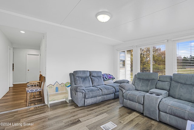 living room with hardwood / wood-style floors and plenty of natural light