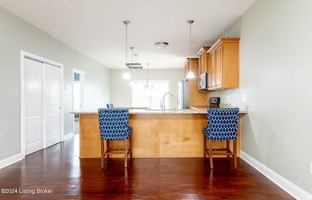 kitchen featuring kitchen peninsula, stainless steel appliances, and dark hardwood / wood-style flooring