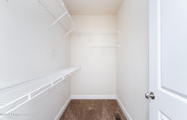 spacious closet featuring carpet floors