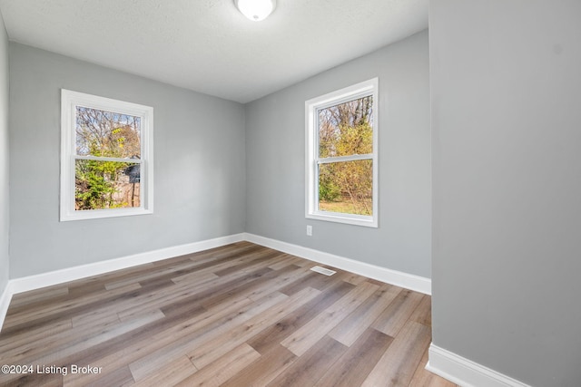 empty room with light wood-type flooring, a wealth of natural light, and a textured ceiling