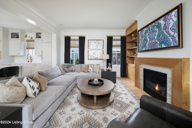 living room with sink, ornamental molding, and light hardwood / wood-style flooring