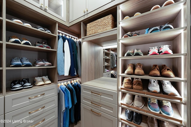 view of spacious closet