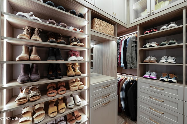 view of walk in closet