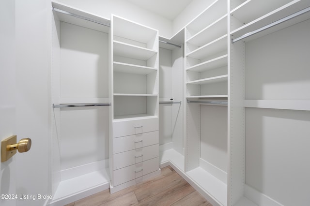 walk in closet with light hardwood / wood-style flooring